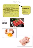 Vorschau - Arbeitsblätter - 🧑🍳 Wir werden Salmonellen - Experten - Seite 3