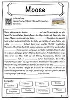 Vorschau - Unterrichtsreihen - Moose Lückentext mit Wortspeicher Hörverstehen und Suchsel - Seite 1