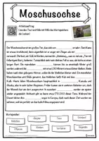 Vorschau - Unterrichtsreihen - Moschusochse Lückentext mit Wortspeicher Hörverstehen und Suchsel - Seite 1