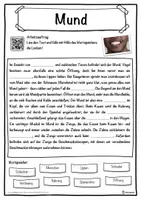 Vorschau - Unterrichtsreihen - Mund Lückentext mit Wortspeicher Hörverstehen und Suchsel - Seite 1