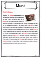 Vorschau - Unterrichtsreihen - Mund Lückentext mit Wortspeicher Hörverstehen und Suchsel - Seite 2