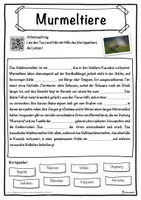 Vorschau - Unterrichtsreihen - Murmeltiere Lückentext mit Wortspeicher Hörverstehen und Suchsel - Seite 1