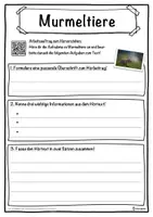 Vorschau - Unterrichtsreihen - Murmeltiere Lückentext mit Wortspeicher Hörverstehen und Suchsel - Seite 3