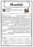 Vorschau - Unterrichtsreihen - Muscheln Lückentext mit Wortspeicher Hörverstehen und Suchsel - Seite 1