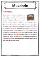 Vorschau - Unterrichtsreihen - Muscheln Lückentext mit Wortspeicher Hörverstehen und Suchsel - Seite 2