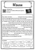 Vorschau - Unterrichtsreihen - Mäuse Lückentext mit Wortspeicher Hörverstehen und Suchsel - Seite 1