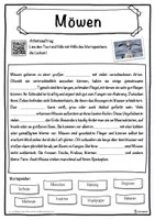 Vorschau - Unterrichtsreihen - Möwen Lückentext mit Wortspeicher Hörverstehen und Suchsel - Seite 1