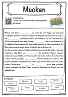 Vorschau - Unterrichtsreihen - Mücken Lückentext mit Wortspeicher Hörverstehen und Suchsel - Seite 1