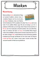 Vorschau - Unterrichtsreihen - Mücken Lückentext mit Wortspeicher Hörverstehen und Suchsel - Seite 2
