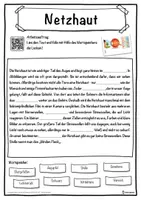 Vorschau - Unterrichtsreihen - Netzhaut Lückentext mit Wortspeicher Hörverstehen und Suchsel - Seite 1