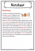 Vorschau - Unterrichtsreihen - Netzhaut Lückentext mit Wortspeicher Hörverstehen und Suchsel - Seite 2