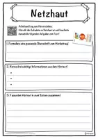 Vorschau - Unterrichtsreihen - Netzhaut Lückentext mit Wortspeicher Hörverstehen und Suchsel - Seite 3