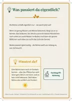Vorschau - Stationenlernen - MATERIALPAKET 9 Experimentierkarten (Bio, Physik, Chemie) | Inkl. Lehrertipps, Protokoll & Ausweis - Seite 2