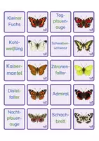 Vorschau - Stationenlernen - Materialpaket Schmetterlinge - Seite 2