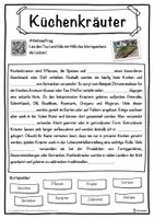 Vorschau - Unterrichtsreihen - Küchenkräuter Lückentext mit Wortspeicher Hörverstehen und Suchsel - Seite 1