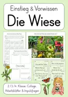 Vorschau - Unterrichtsreihen - Wiese - Materialpaket (2./3./4. Klasse) - Seite 1