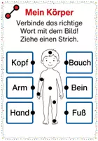 Vorschau - Arbeitsblätter - Mein Körper - Arbeitsheft Klasse 1 - Seite 3