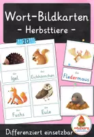 Vorschau - Spiele - Herbsttiere – Wort- und Bildkarten | 20 Tiere mit Artikel & Silbenschrift | differenziert Kita bis Klasse 2 | DaZ - Deckblatt