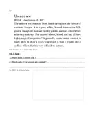 Aperçu - Préparation de séance / Séance complète - FANTASTIC BEASTS - Page 3
