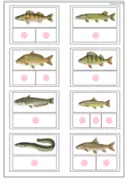 Vorschau - Arbeitsblätter - Klettmappe Angeln + Fische - Seite 1