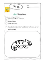 Vorschau - Arbeitsblätter - Klaro - DAZ kleines Materialpäckchen zum Alphabet ch, ck, tz, pf - Seite 1