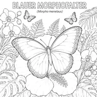 Vorschau - Mal- und Bastelvorlagen - Insekten Ausmalbilder (50 exotische Malvorlagen) - Seite 3