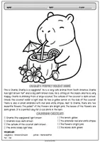 Vorschau - Arbeitsblätter - Read and Colour Englisch Klasse 4 5 Bundle - Seite 3