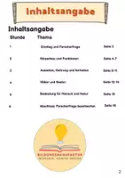 Vorschau - Arbeitsblätter - Hummel, Biene und Wespe - Gemeinsamkeiten und Unterschiede - Seite 1