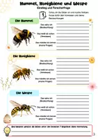 Vorschau - Arbeitsblätter - Hummel, Biene und Wespe - Gemeinsamkeiten und Unterschiede - Seite 2