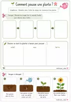 Aperçu - Feuilles d'exercices - Comment pousse une plante ? 🌱
Remettre les étapes de croissance dans l’ordre - Page de couverture