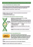 Vorschau - Arbeitsblätter - Evolutionstheorie Darwin Lamarck PLUS Lernposter - Seite 2