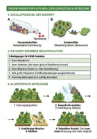Vorschau - Arbeitsblätter - Evolutionstheorie Darwin Lamarck PLUS Lernposter - Seite 3