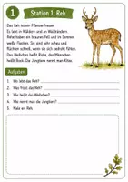Vorschau - Arbeitsblätter - Waldtiere: Stationenlernen Sachunterricht - Seite 2