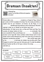 Vorschau - Unterrichtsreihen - Bremsen (Insekten) Lückentext mit Wortspeicher Hörverstehen und Suchsel - Seite 1