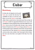 Vorschau - Unterrichtsreihen - Eisbär Lückentext mit Wortspeicher Hörverstehen und Suchsel - Seite 2