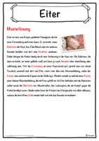 Vorschau - Unterrichtsreihen - Eiter Lückentext mit Wortspeicher Hörverstehen und Suchsel - Seite 2
