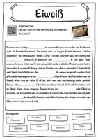 Vorschau - Unterrichtsreihen - Eiweiß Lückentext mit Wortspeicher Hörverstehen und Suchsel - Seite 1