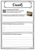 Vorschau - Unterrichtsreihen - Eiweiß Lückentext mit Wortspeicher Hörverstehen und Suchsel - Seite 3
