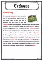 Vorschau - Unterrichtsreihen - Erdnuss Lückentext mit Wortspeicher Hörverstehen und Suchsel - Seite 2