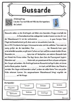 Vorschau - Unterrichtsreihen - Bussarde Lückentext mit Wortspeicher Hörverstehen und Suchsel - Seite 1