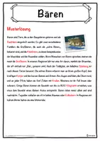 Vorschau - Unterrichtsreihen - Bären Lückentext mit Wortspeicher Hörverstehen und Suchsel - Seite 2