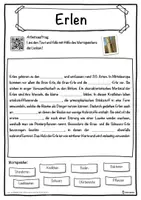 Vorschau - Unterrichtsreihen - Erlen Lückentext mit Wortspeicher Hörverstehen und Suchsel - Seite 1