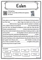 Vorschau - Unterrichtsreihen - Eulen Lückentext mit Wortspeicher Hörverstehen und Suchsel - Seite 1