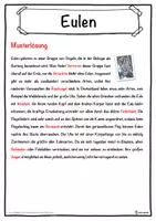 Vorschau - Unterrichtsreihen - Eulen Lückentext mit Wortspeicher Hörverstehen und Suchsel - Seite 2