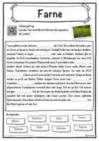 Vorschau - Unterrichtsreihen - Farne Lückentext mit Wortspeicher Hörverstehen und Suchsel - Seite 1