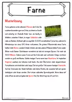 Vorschau - Unterrichtsreihen - Farne Lückentext mit Wortspeicher Hörverstehen und Suchsel - Seite 2