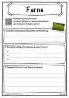 Vorschau - Unterrichtsreihen - Farne Lückentext mit Wortspeicher Hörverstehen und Suchsel - Seite 3