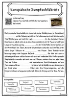 Vorschau - Unterrichtsreihen - Europäische Sumpfschildkröte Lückentext mit Wortspeicher Hörverstehen und Suchsel - Seite 1
