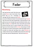 Vorschau - Unterrichtsreihen - Feder Lückentext mit Wortspeicher Hörverstehen und Suchsel - Seite 2