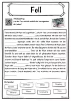 Vorschau - Unterrichtsreihen - Fell Lückentext mit Wortspeicher Hörverstehen und Suchsel - Seite 1